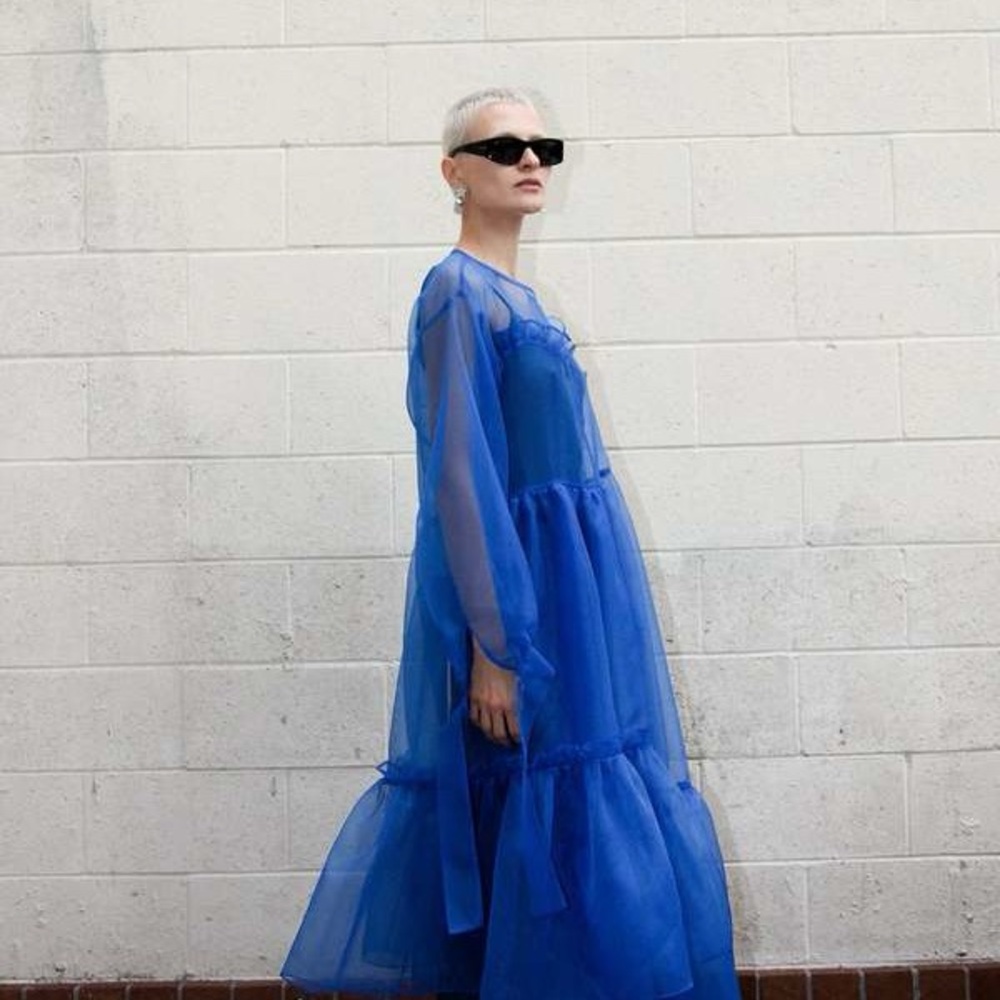 Chic Long Sleeve Blue Organza Dress